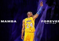 关于开云官网的系统功能解析详解